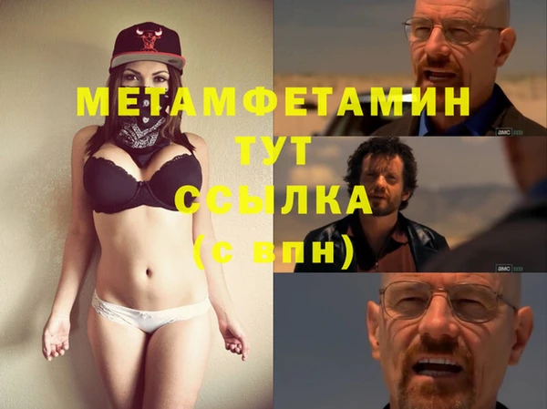 молекула духа Вяземский